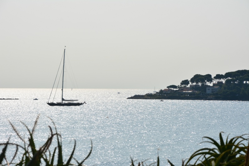CANNES ANTIBES 221
